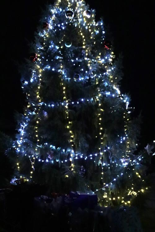 Rozsvícení vánočního stromku s Mikulášskou nadílkou